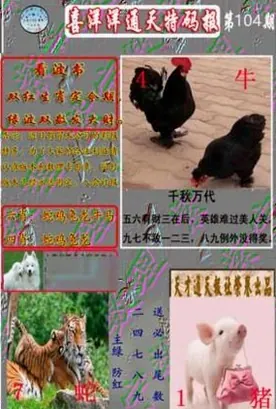 港彩图库